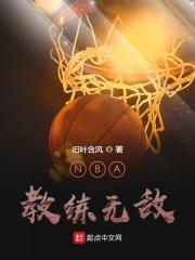 nba教练挑战规则
